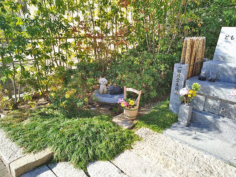 浄国寺 境内墓地