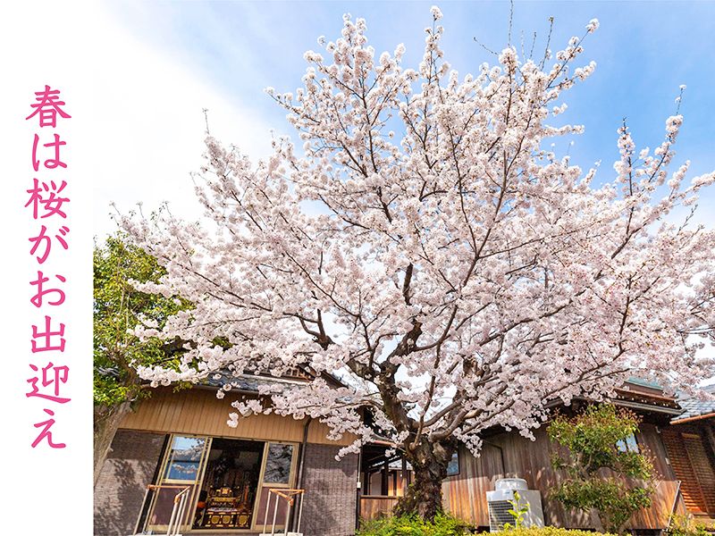 かやづ庭苑・實成寺