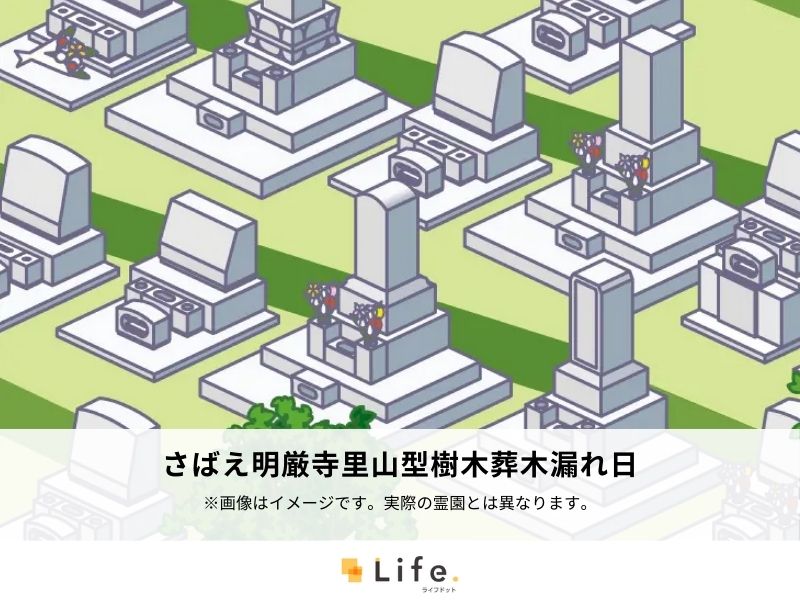 さばえ明厳寺里山型樹木葬木漏れ日