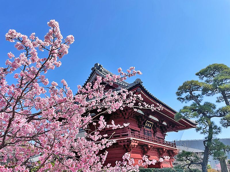 徳願寺 のうこつぼ
