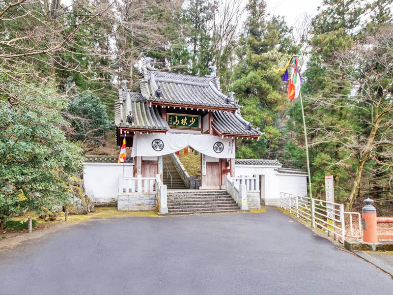 緑に囲まれた山門