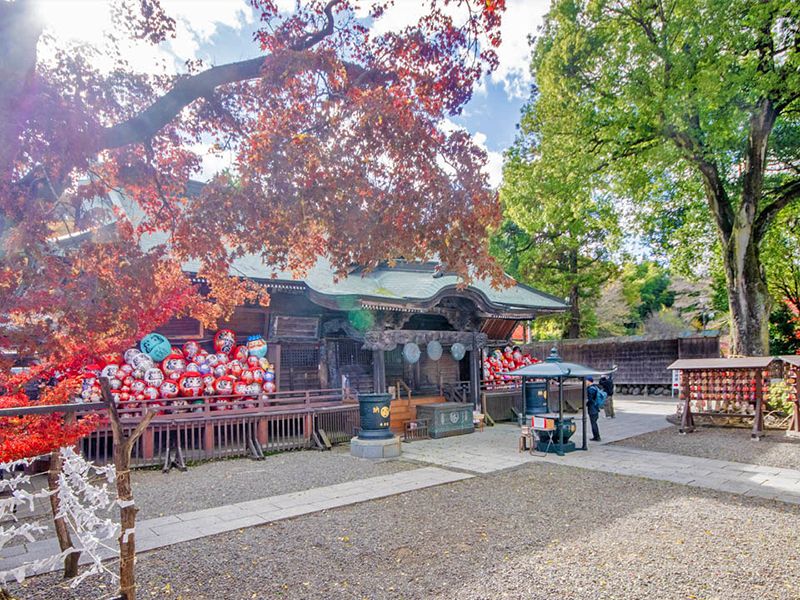 紅葉と境内の景観