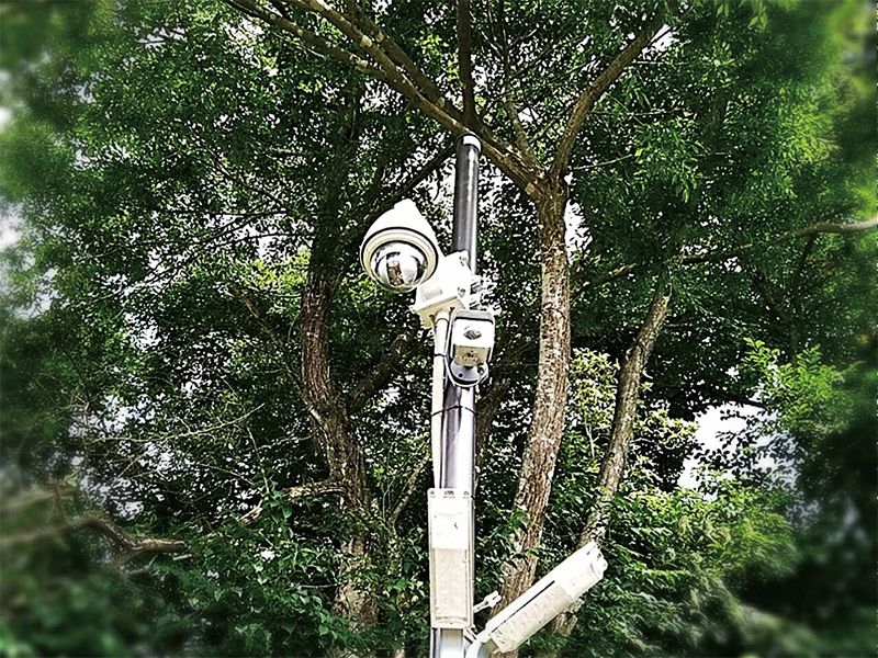 日光杉並木墓苑