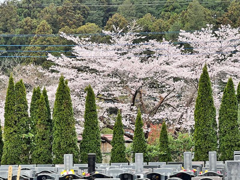 おぎの聖地公園