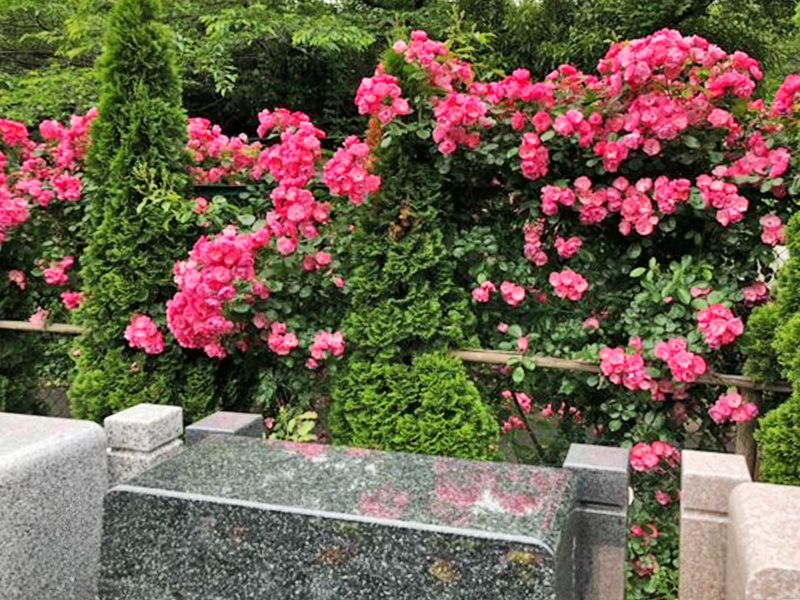 おぎの聖地公園