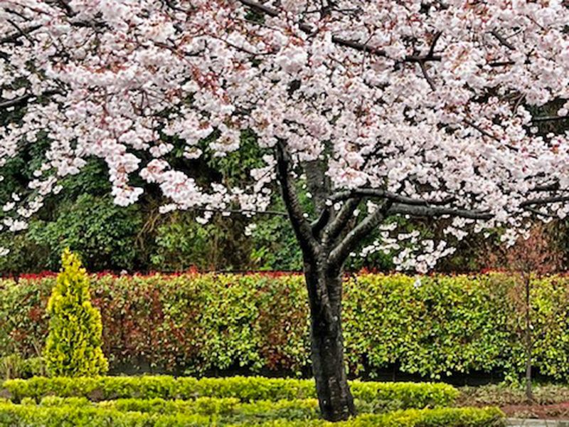 おぎの聖地公園