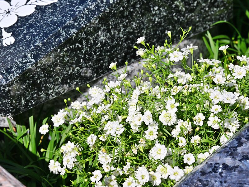 清水秋葉山メモリアルガーデン