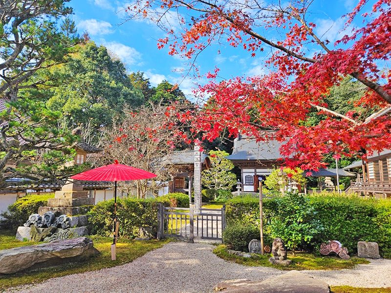 雲樹寺 のうこつぼ