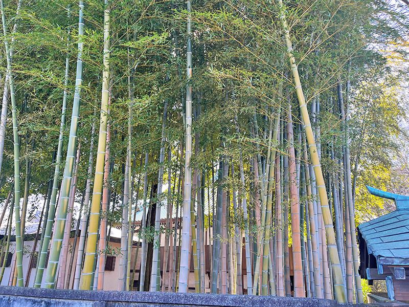 愛染院