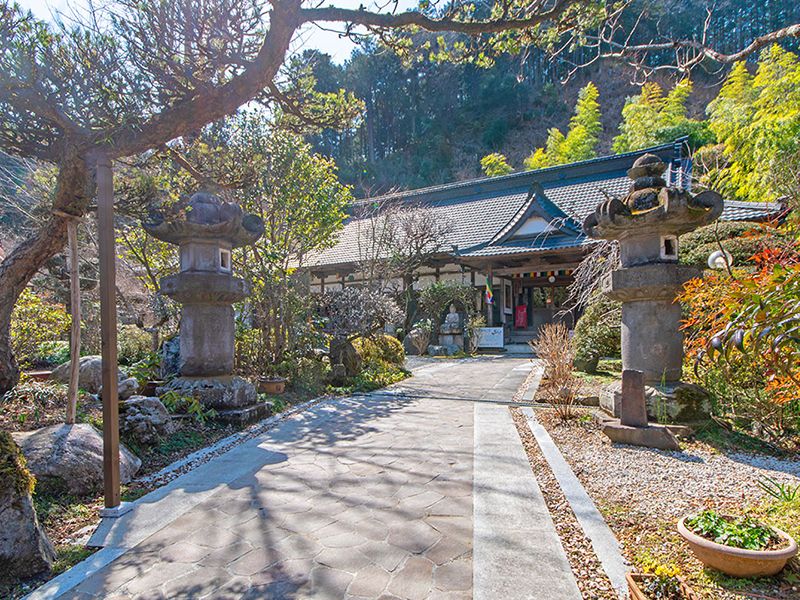 庭木沿いの苑内通路