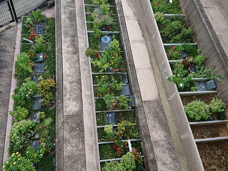 西寿寺霊園の樹木葬