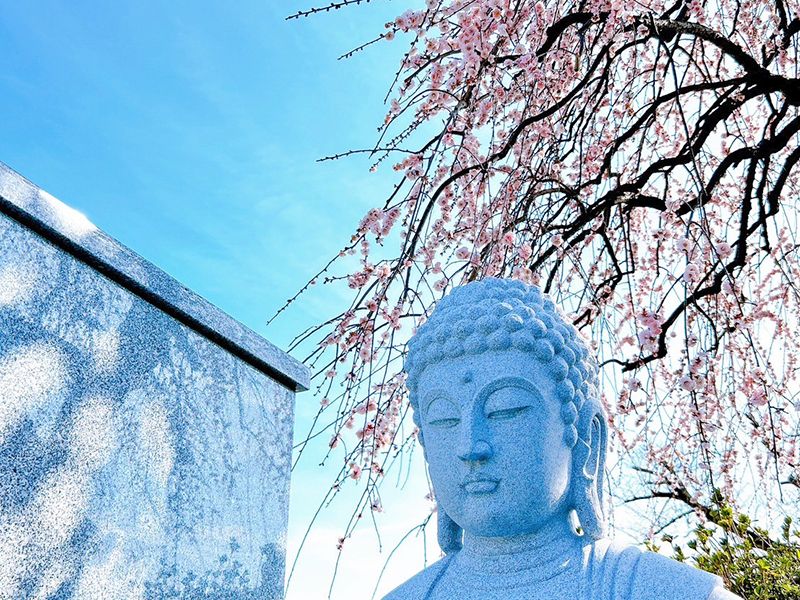 鶴ヶ島霊苑 開栄寺 永代供養墓・樹木葬