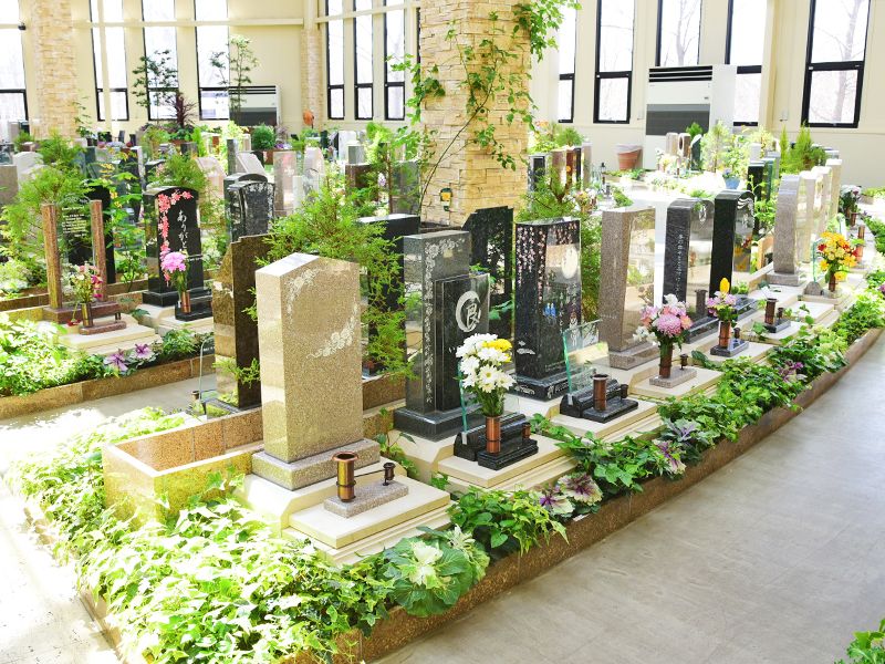 エバーグリーン