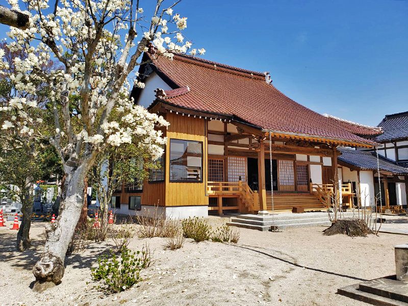 龍善寺 のうこつぼ