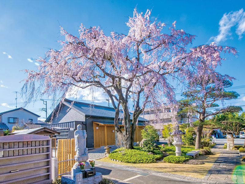 廣済寺