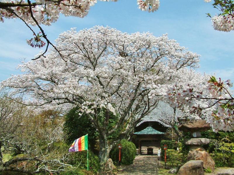 樹木葬永代供養墓 密厳