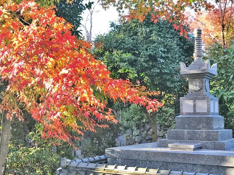 樹木葬永代供養墓 密厳