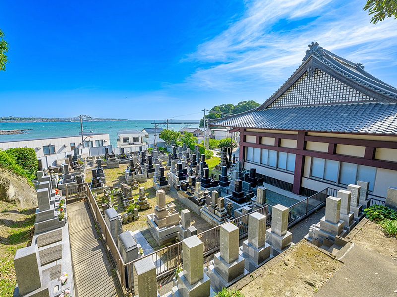 専福寺 のうこつぼ