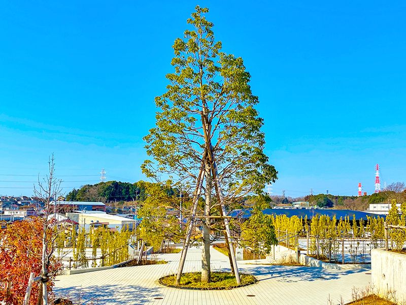 公園墓地 川井聖苑