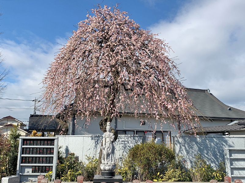 鶴ヶ島霊苑 開栄寺 永代供養墓・樹木葬