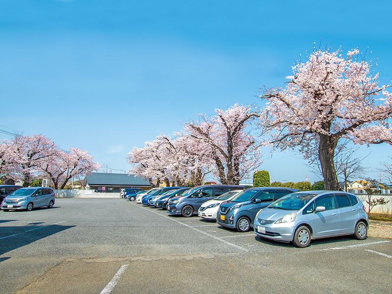 鶴ヶ島霊苑 開栄寺 永代供養墓・樹木葬