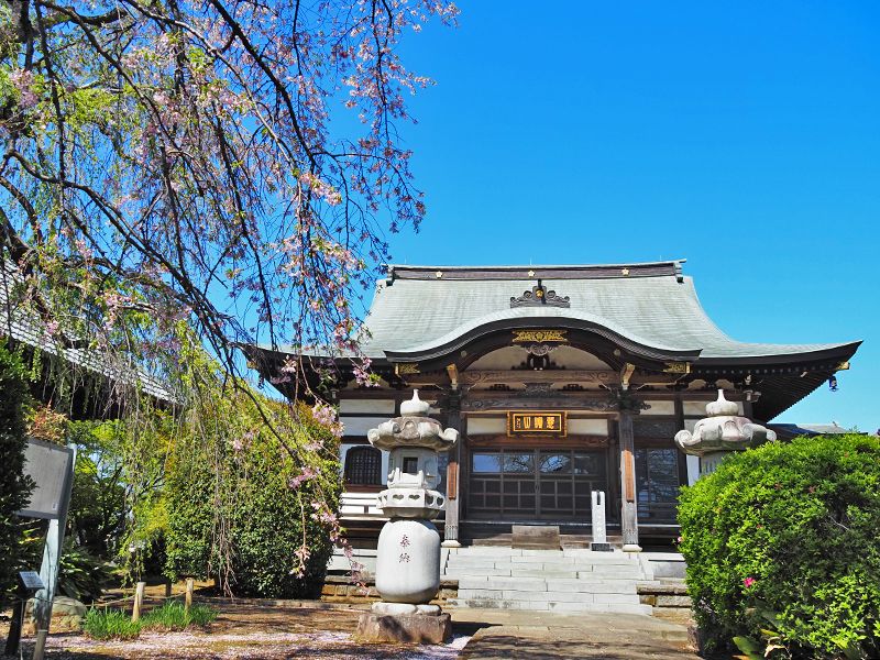 圓藏院 桜華苑
