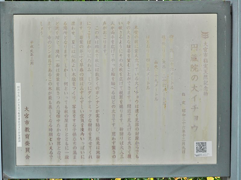 圓藏院 桜華苑