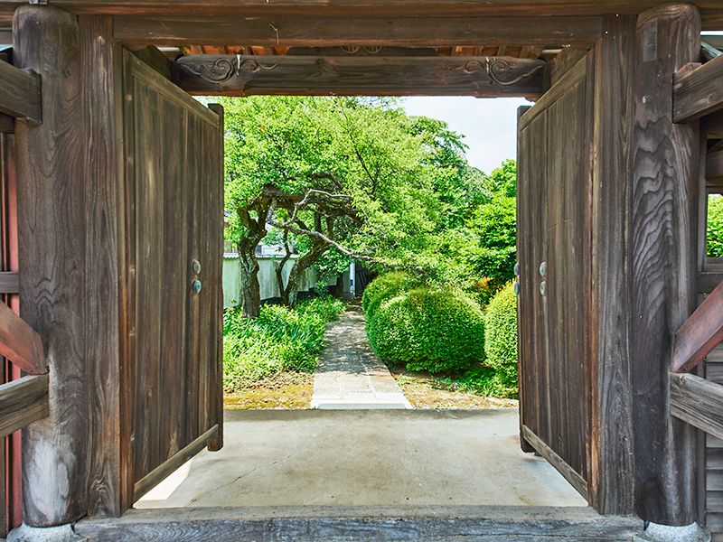 圓藏院 桜華苑