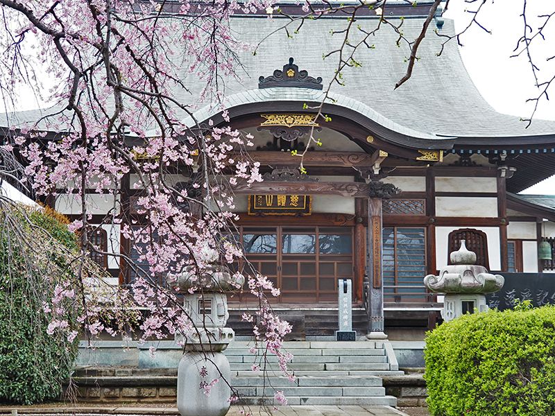 圓藏院 桜華苑