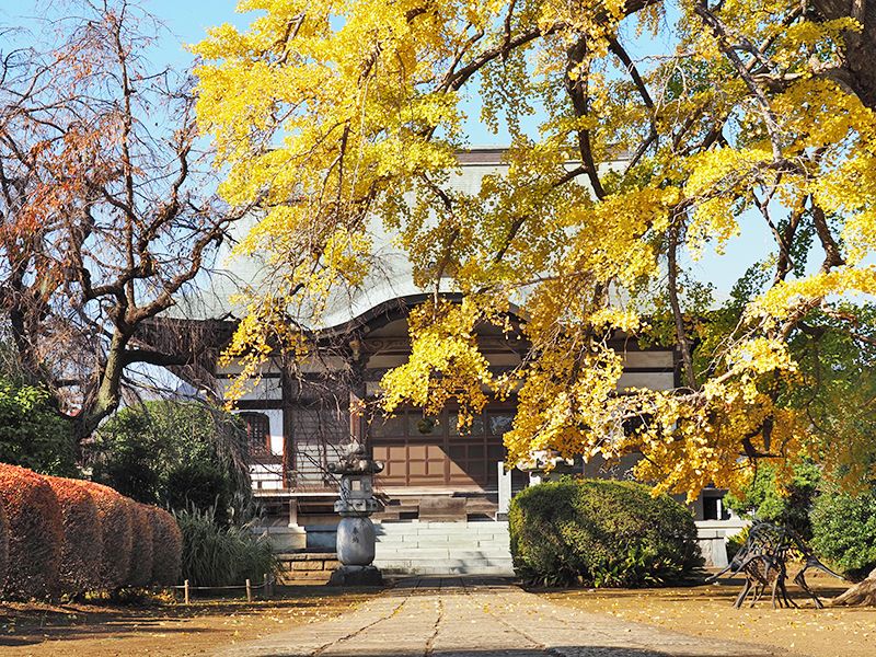 圓藏院 桜華苑