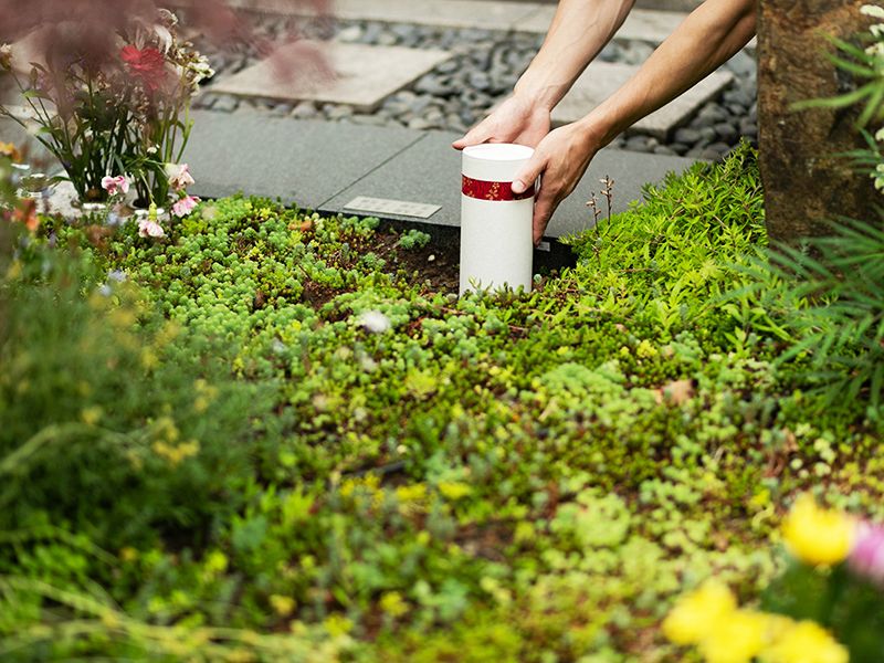 芝愛宕の森・光円寺樹木葬