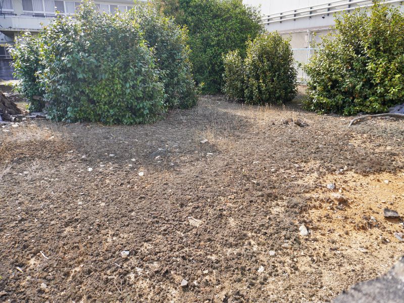 玄英寺霊園