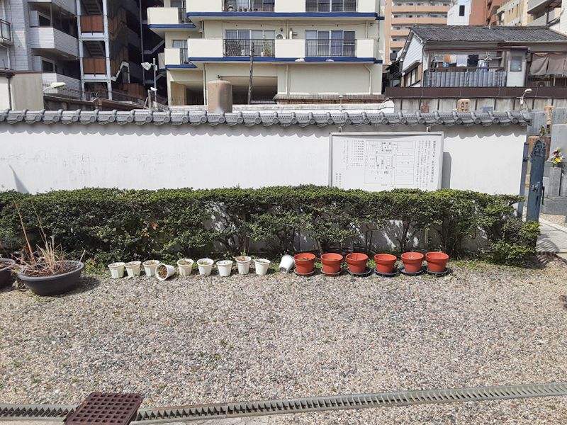 誓願寺