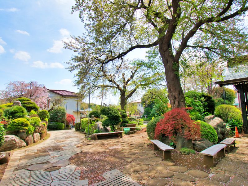 成城しだれ桜墓苑