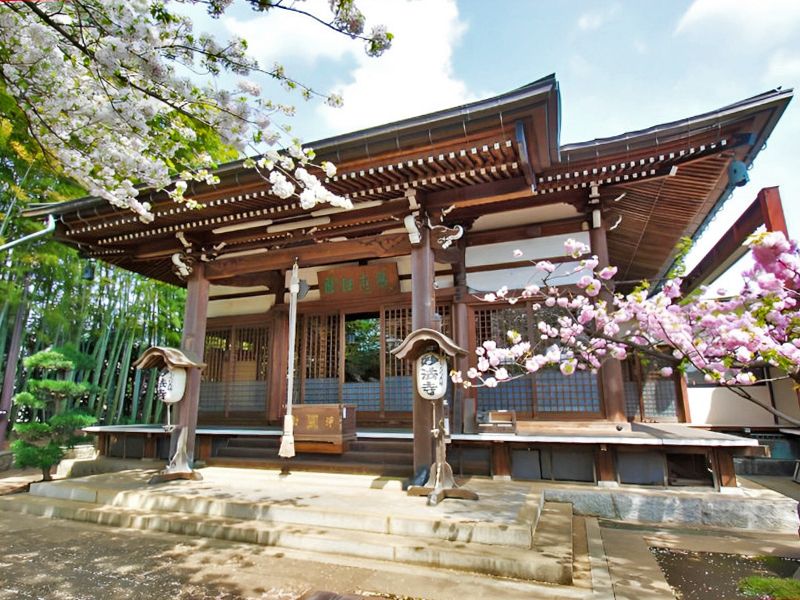 成城しだれ桜墓苑