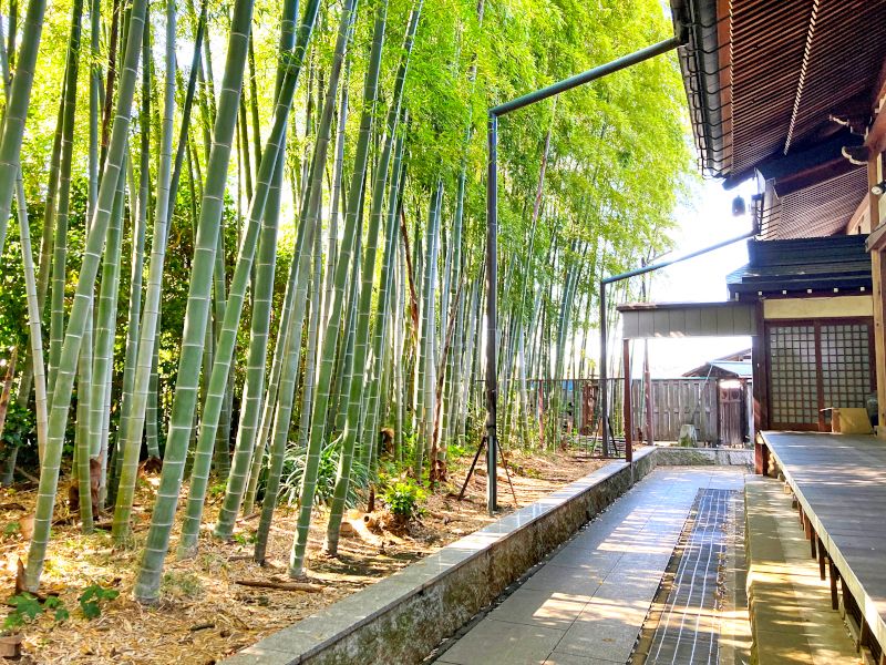 成城しだれ桜墓苑