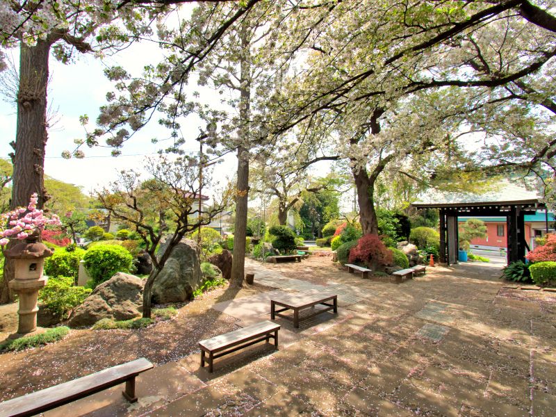 成城しだれ桜墓苑