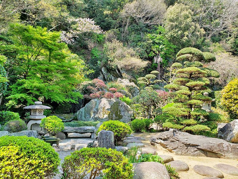 善学寺 のうこつぼ