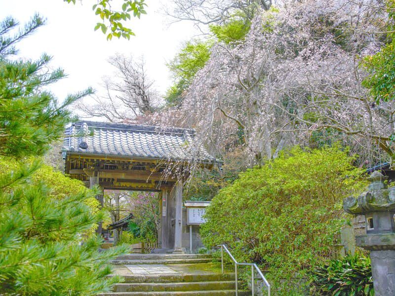 古都鎌倉の風情が漂います