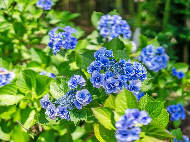 春日部永代供養墓霊園 東光院