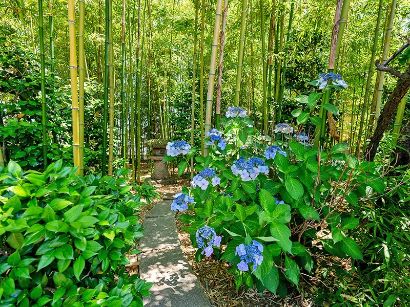 春日部永代供養墓霊園 東光院