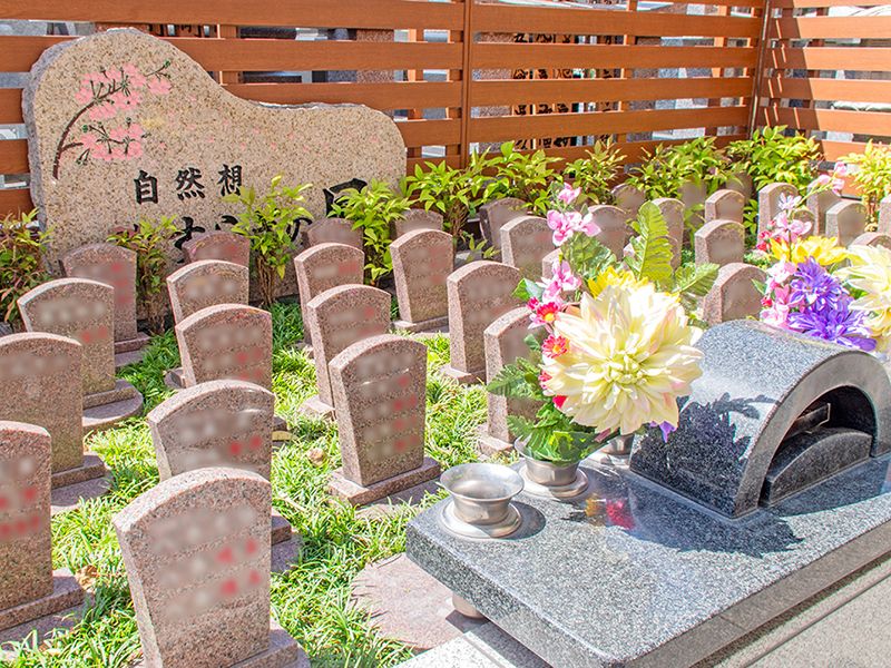 花が供えられた樹木葬墓