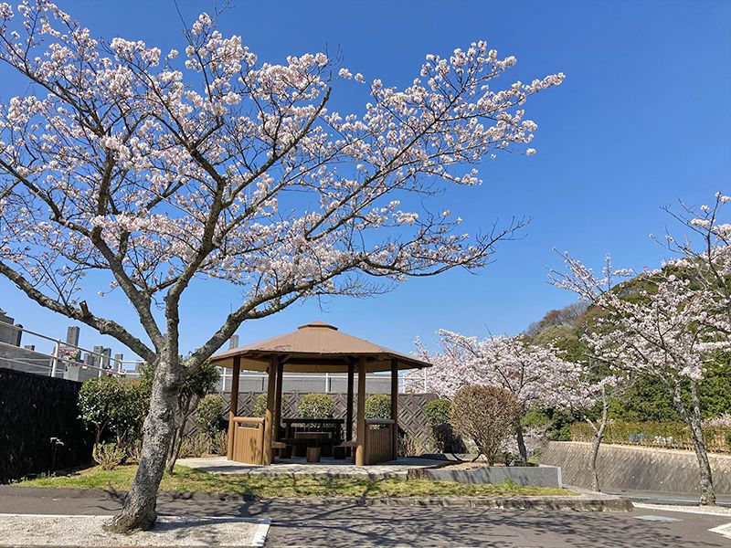 百合ヶ丘霊園霊園風景