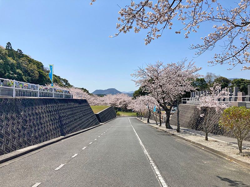 百合ヶ丘霊園園内風景