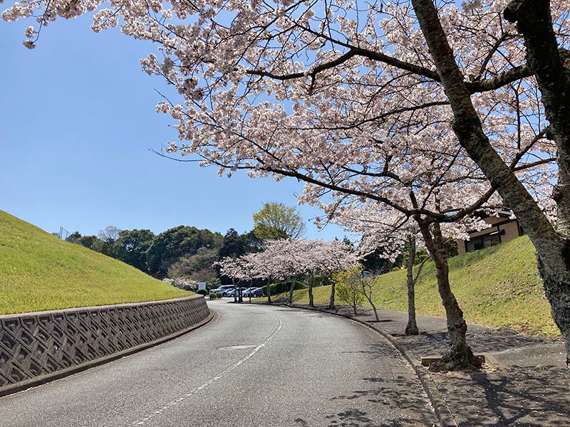 百合ヶ丘霊園園内風景