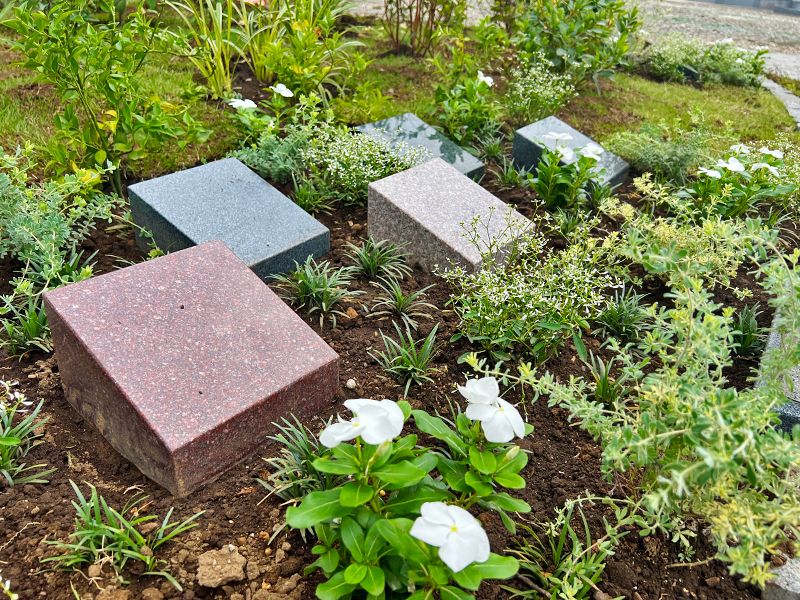 東福寺 令和の杜