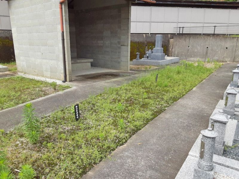 畝傍御坊共同墓地