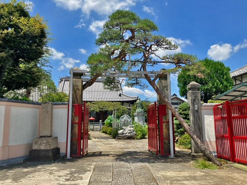 長善寺樹木葬「アルベリ」