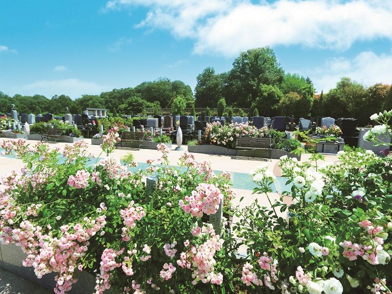 メモリアルパーク天空の杜　花が咲き誇る苑内