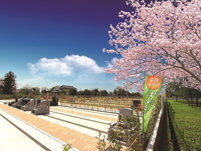 春に桜が色づく加須はなさき浄苑